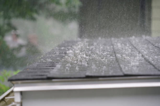 Best Roof Insulation Installation  in Cloquet, MN