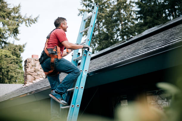 Best Asphalt Shingles Roofing  in Cloquet, MN