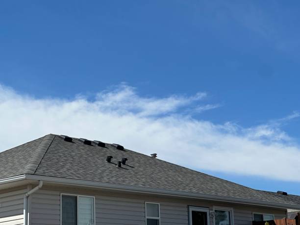 Best Sheet Metal Roofing  in Cloquet, MN